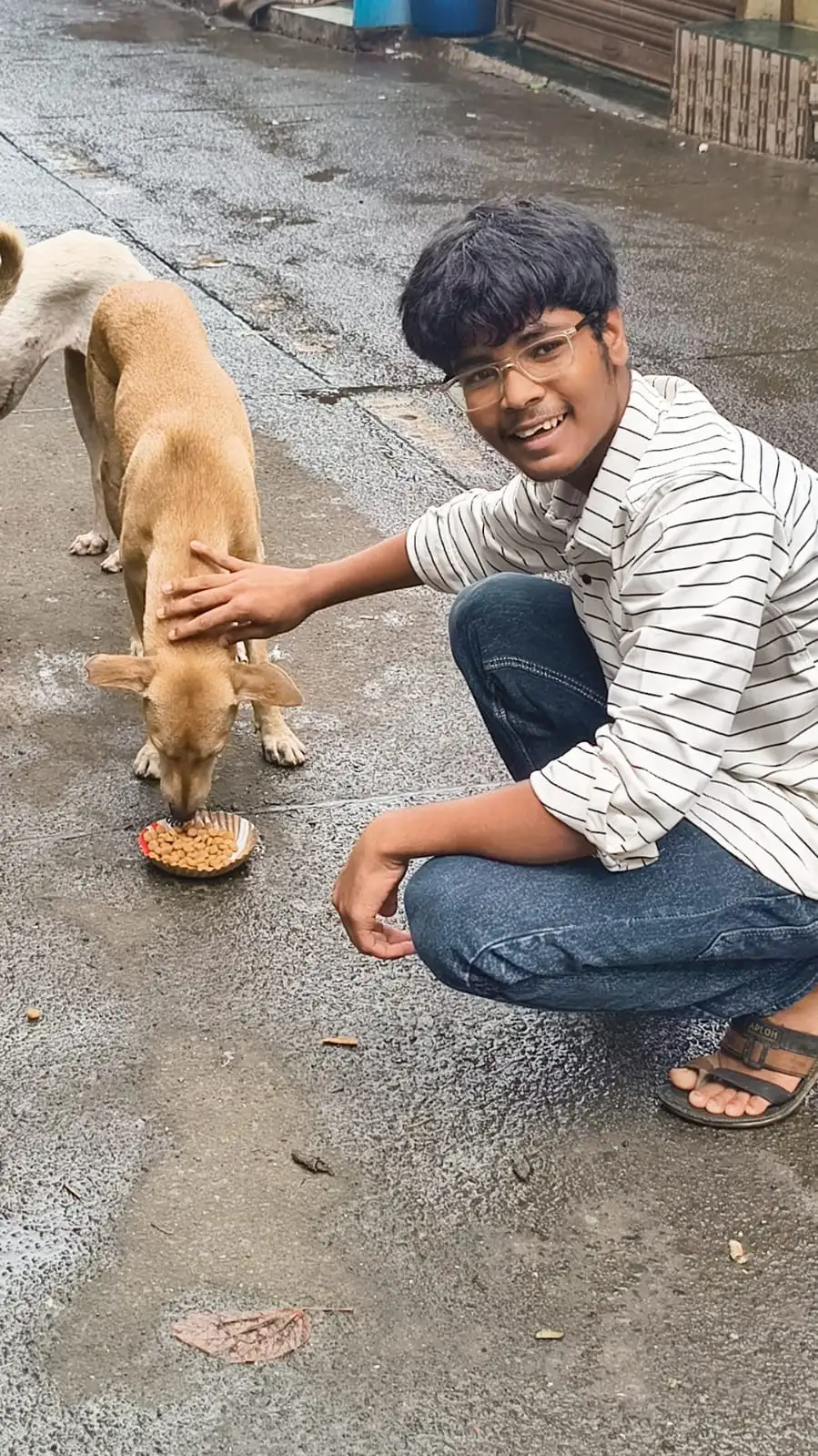 Upcoming Street Animal Feeding Drive