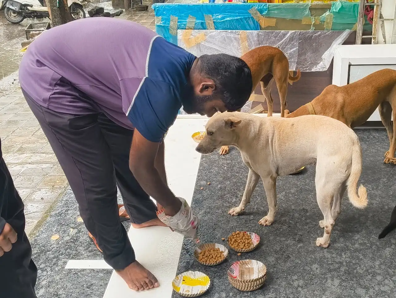 Street Animal Hunger Support & Feeding Drive Across Mumbai Suburbs