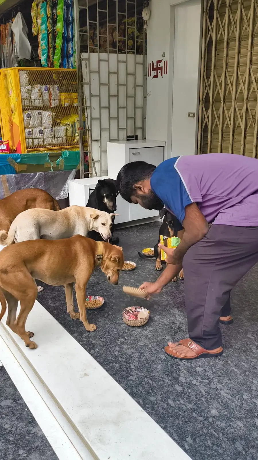 Engaging local youth in compassionate animal welfare